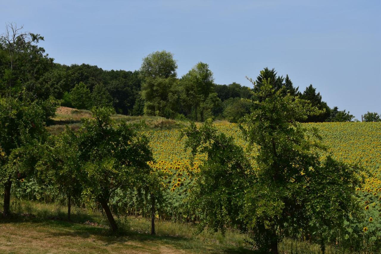 Bed and Breakfast Domaine De Calbiac Dolmayrac Exterior foto